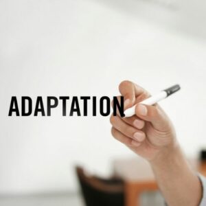 adapter son exportation