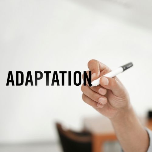 adapter son exportation