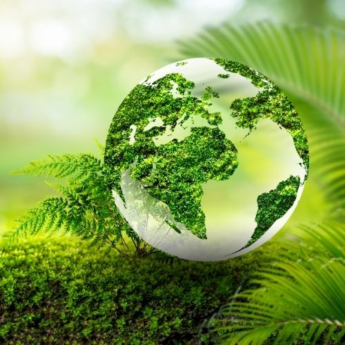 Les défis et les bénéfices de l’exportation durable