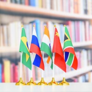 Internationalisation des multinationales des économies émergentes : des processus hétérogènes